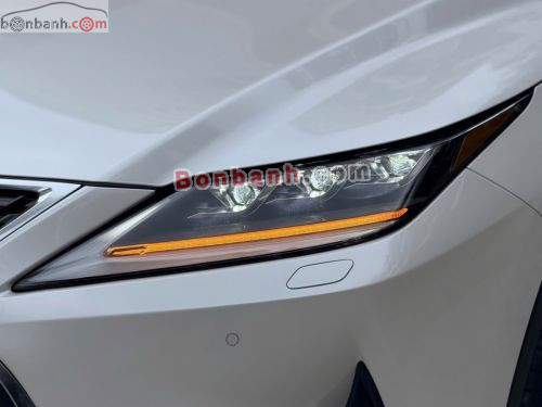 Lexus RX 300 2022 - ảnh 5