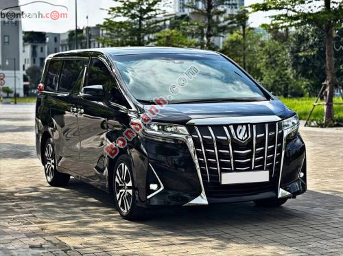 Toyota Alphard Luxury Executive Lounge 2019 - ảnh 2