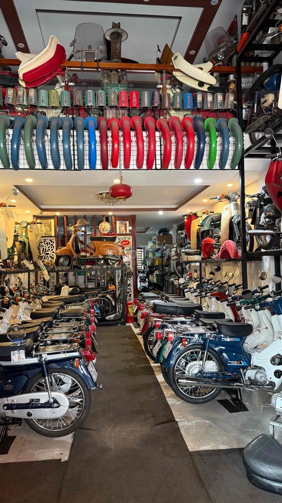 Honda Cub 1981 - ảnh 1