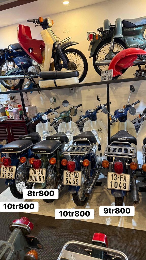 Honda Cub 1981 - ảnh 4