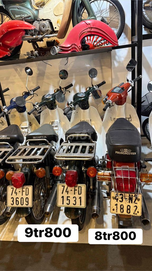Honda Cub 1981 - ảnh 5