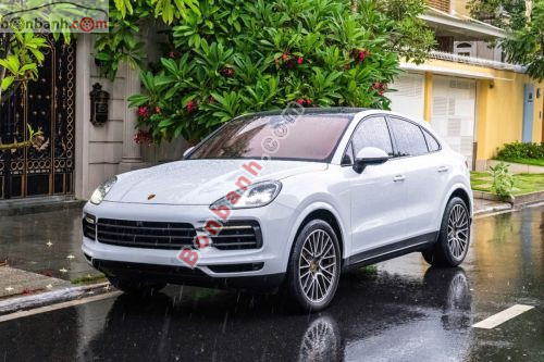 Porsche Cayenne 2022 - ảnh 1