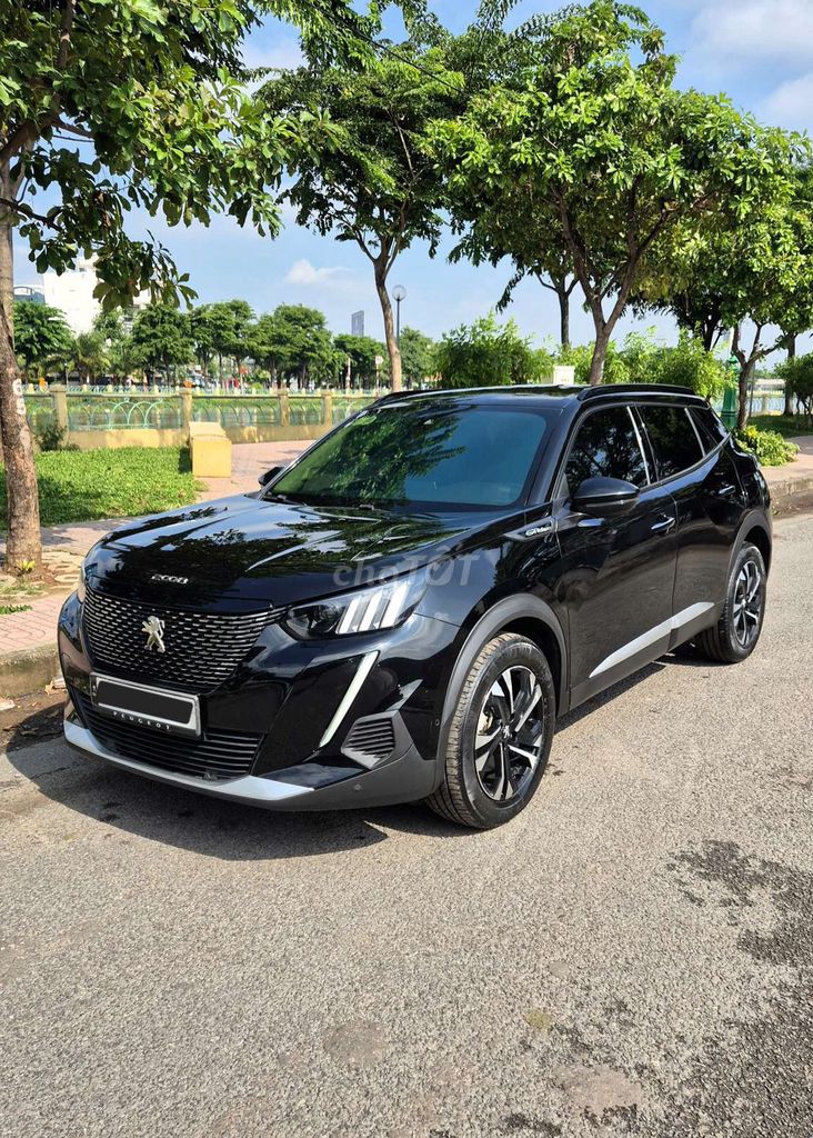 Peugeot 2008 2008 - ảnh 1