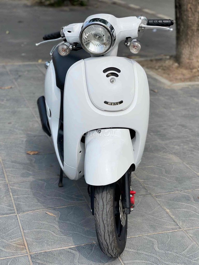 Honda Scoopy 2024 - ảnh 5