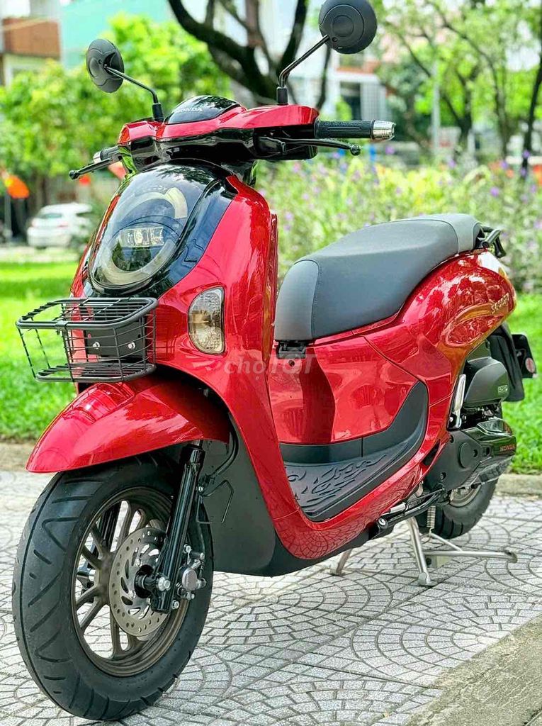 Honda Scoopy 2025 - ảnh 4