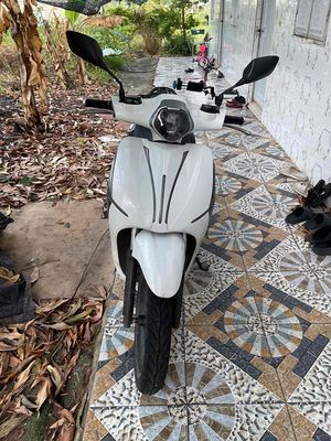 Xe m 2024 - ảnh 1