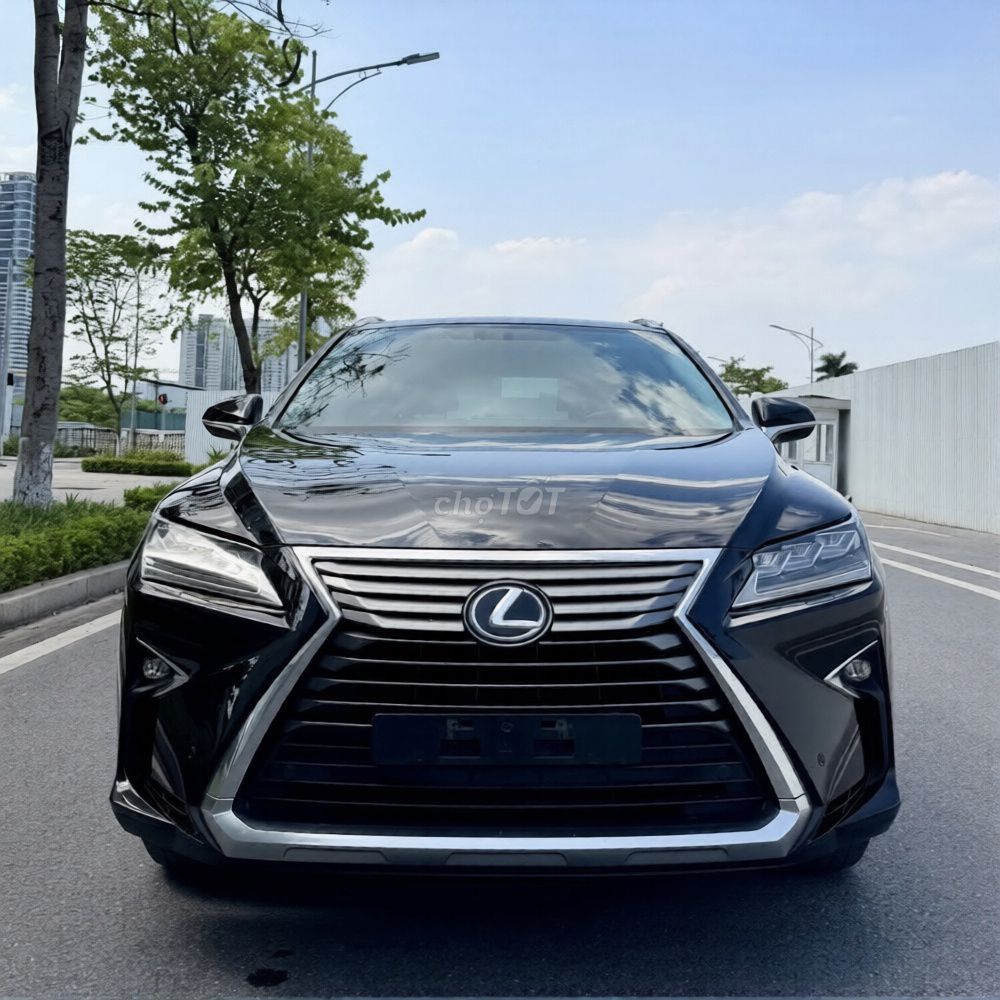Lexus RX 300 2018 - ảnh 1