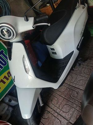 Xe m 2026 - ảnh 1