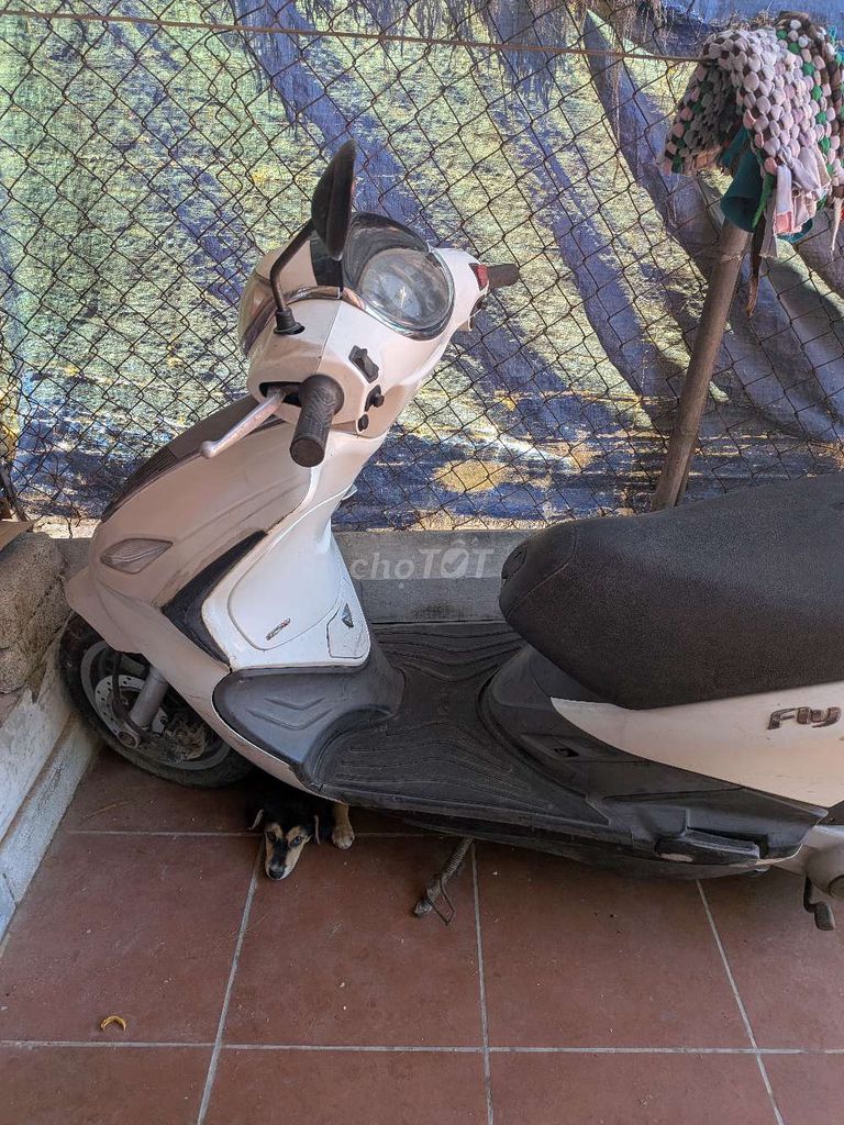 Piaggio 2017 - ảnh 1
