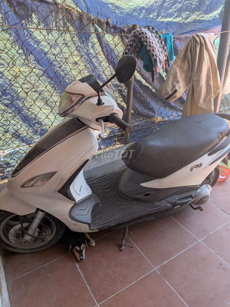 Piaggio 2017 - ảnh 3