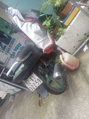 Xe m 2013 - ảnh 1