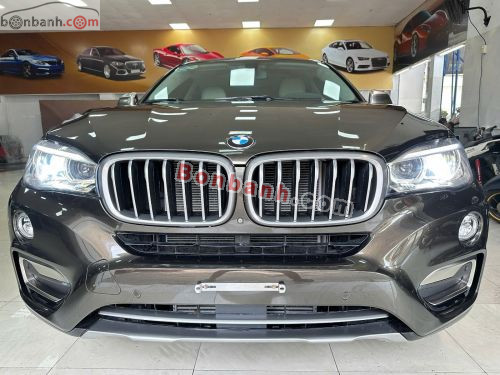 BMW X6 xDrive35i 2017 - ảnh 1