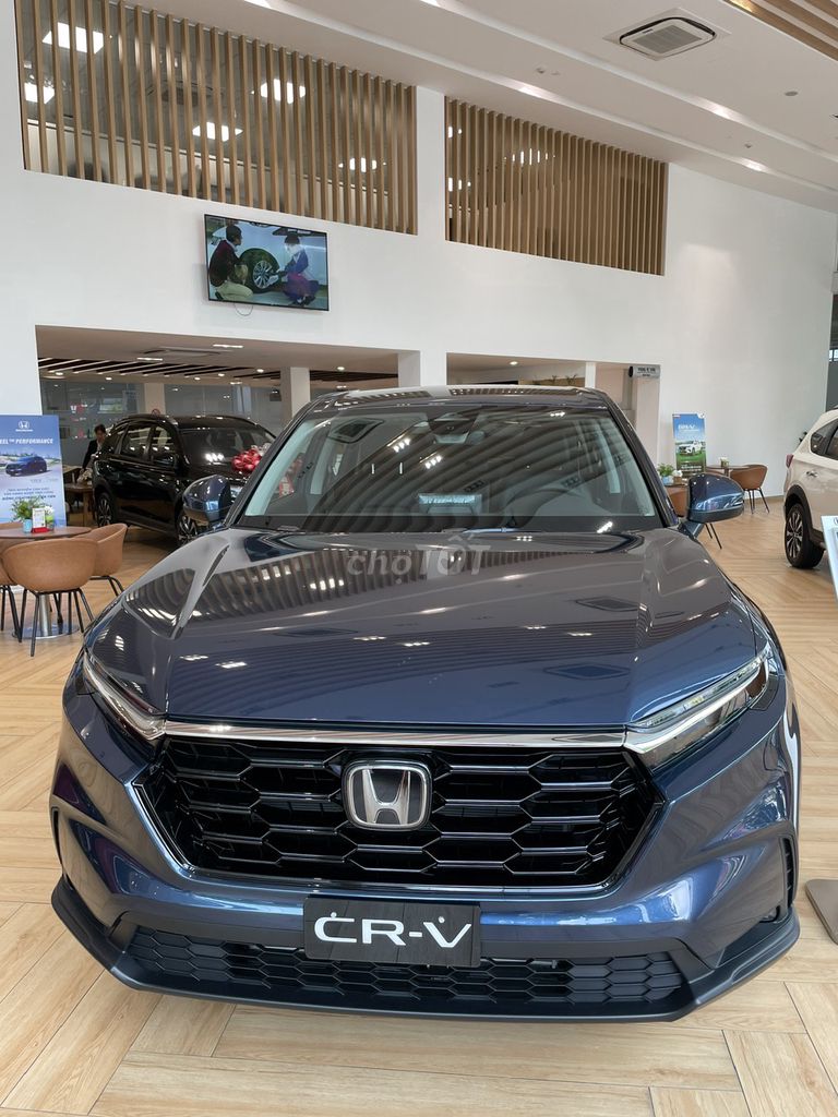 Honda 2026 - ảnh 4
