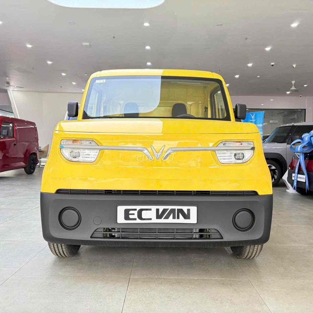 VinFast EC VAN - ảnh 1