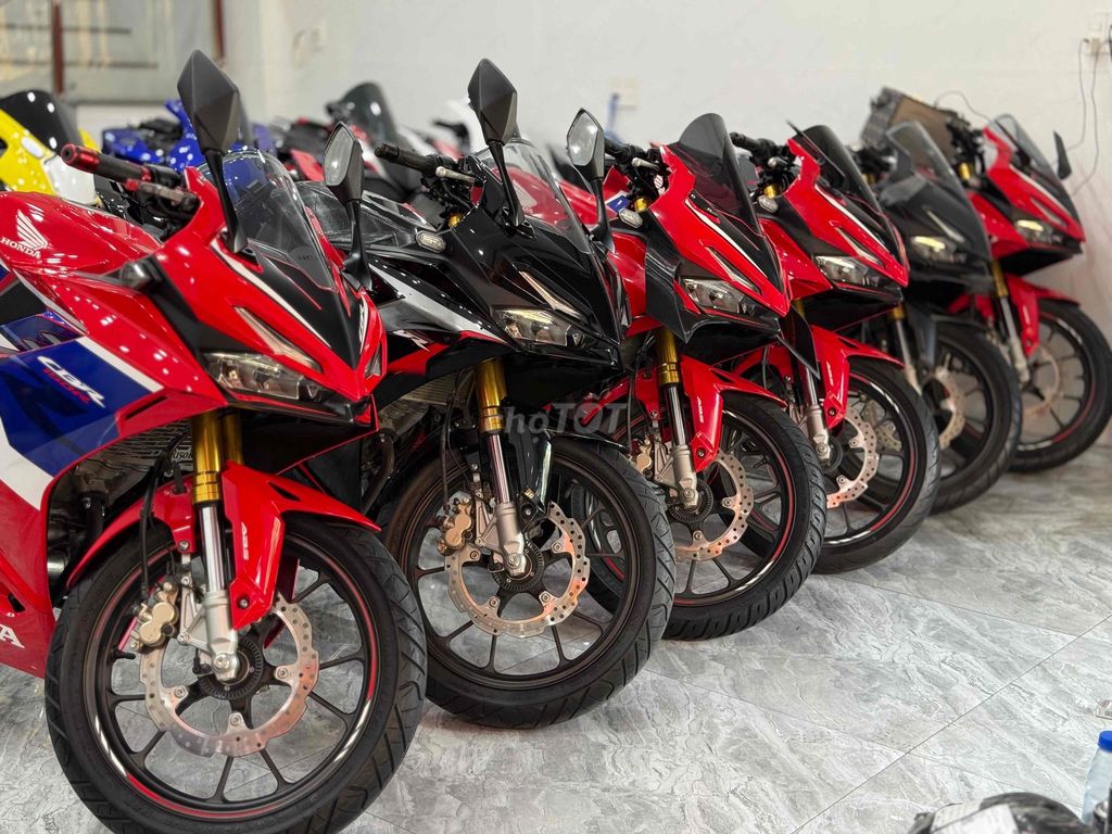 Motor 2023 - ảnh 2