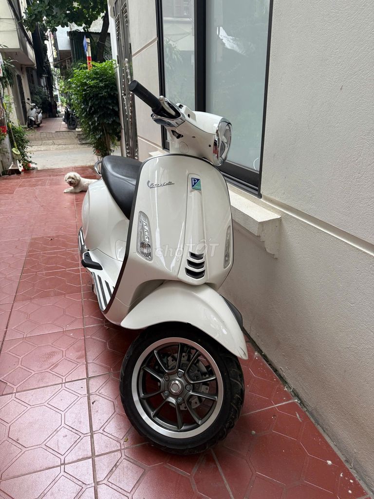 Piaggio - ảnh 4