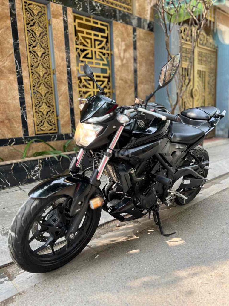 Yamaha MT 2018 - ảnh 1