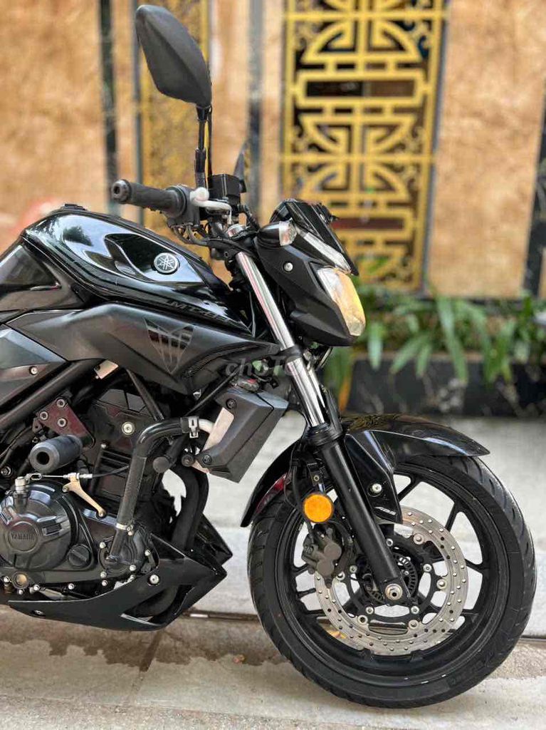 Yamaha MT 2018 - ảnh 4