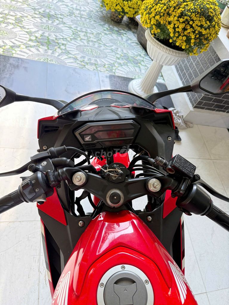 CBR 2019 - ảnh 5