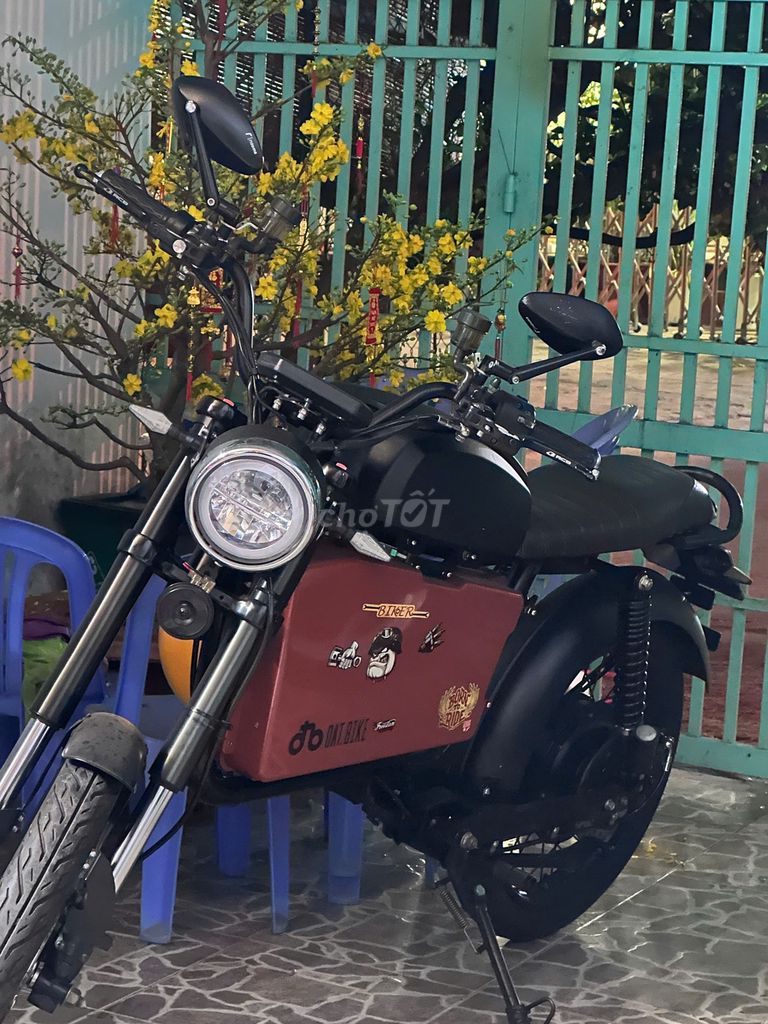 Xe m 2023 - ảnh 2