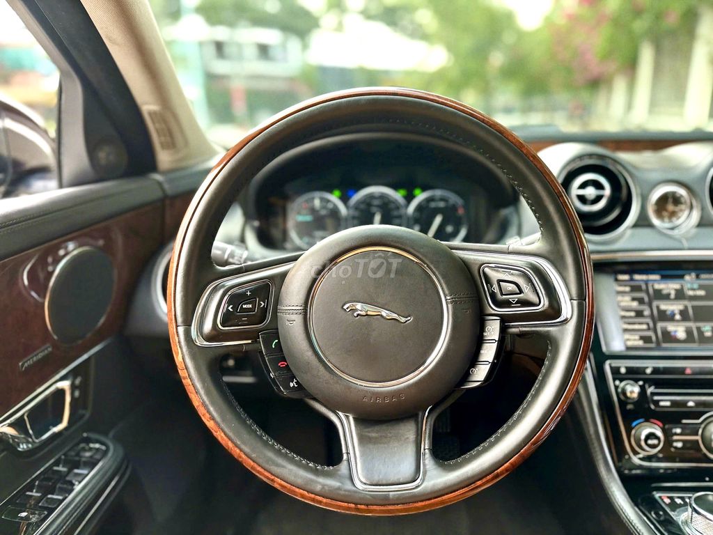 Jaguar 2016 - ảnh 3