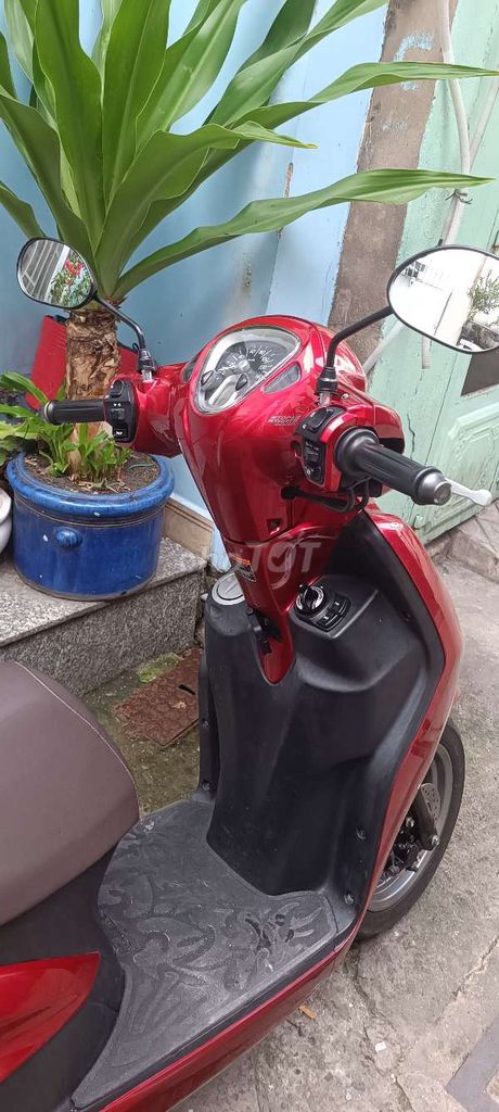 Yamaha Latte 2024 - ảnh 4