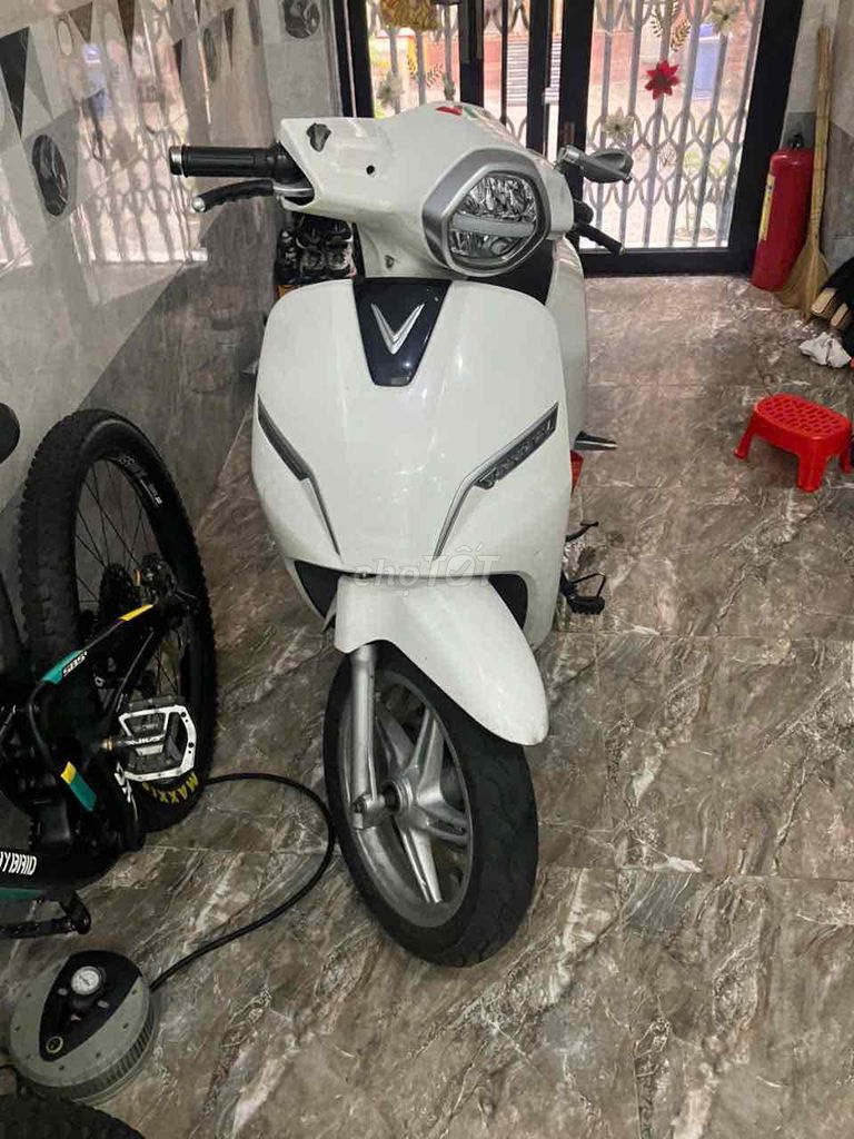 Xe m 2019 - ảnh 1