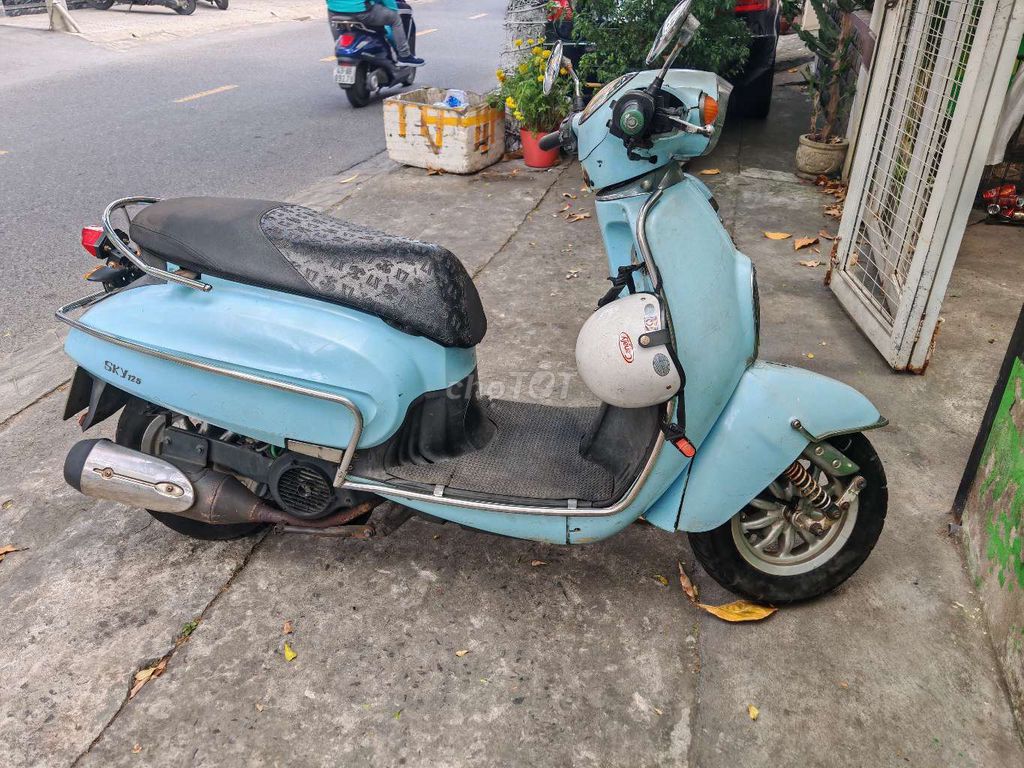Sachs SK 2010 - ảnh 3