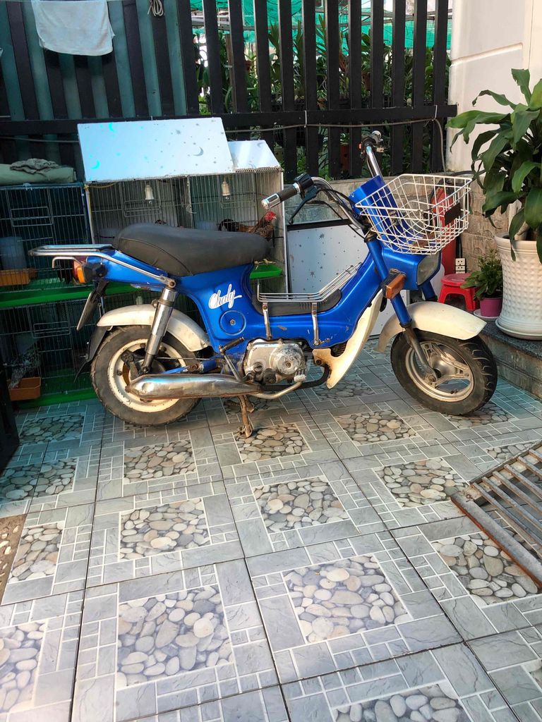Honda Chaly 1984 - ảnh 2