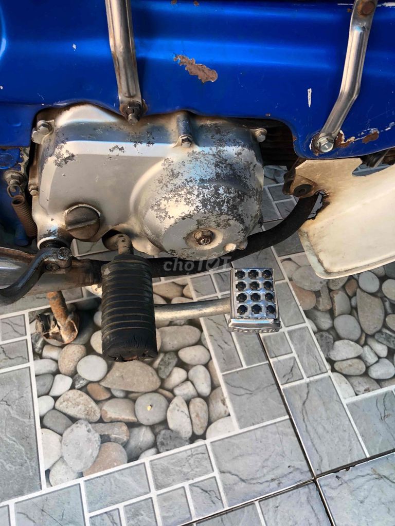 Honda Chaly 1984 - ảnh 4