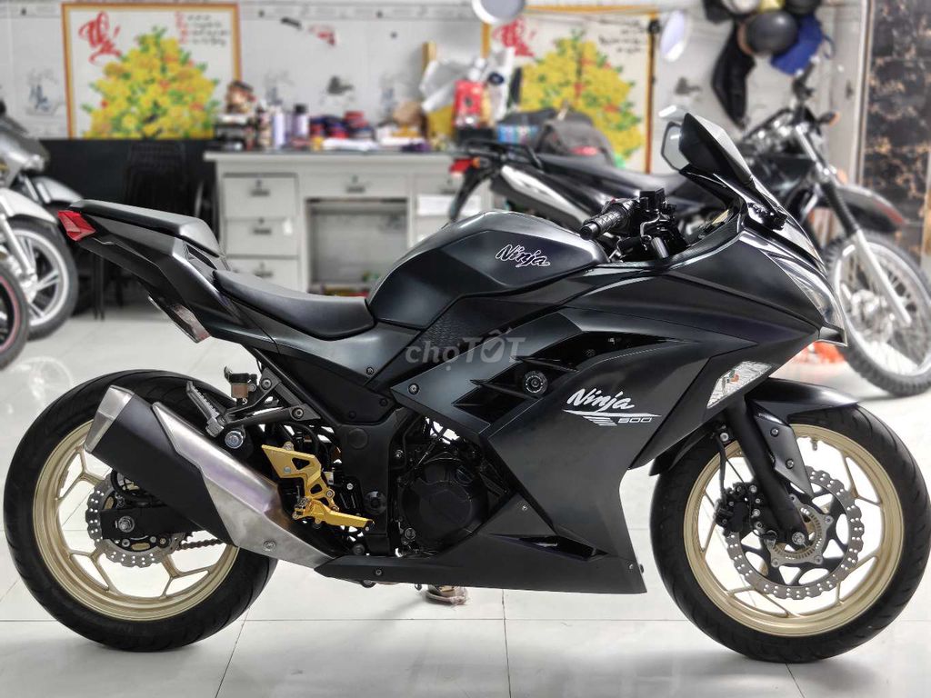 Kawasaki Ninja 2016 - ảnh 3