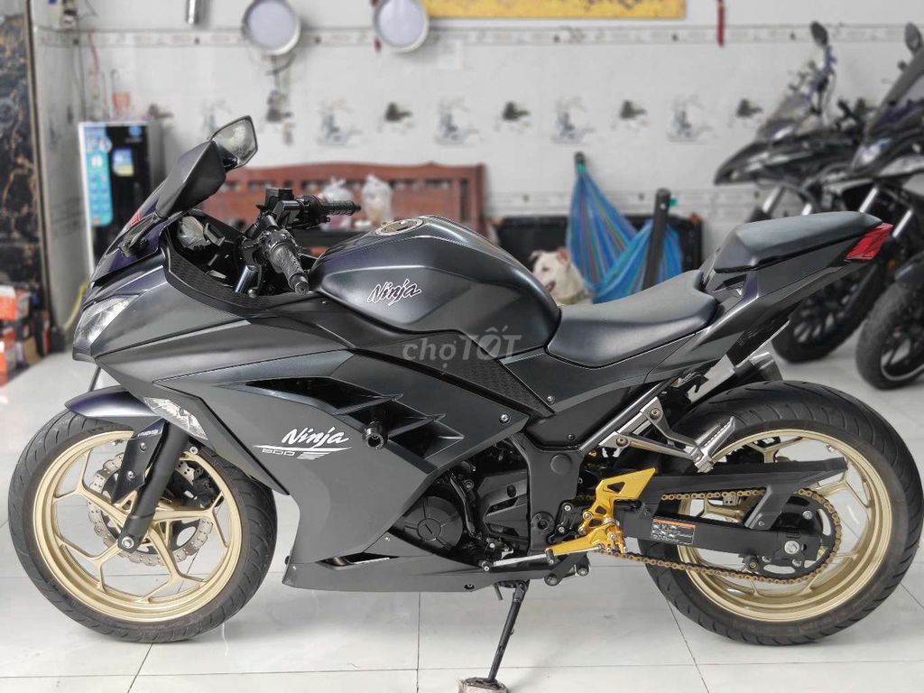 Kawasaki Ninja 2016 - ảnh 4