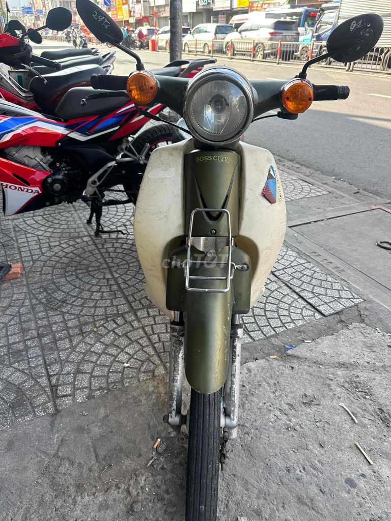 Cub 2019 - ảnh 1