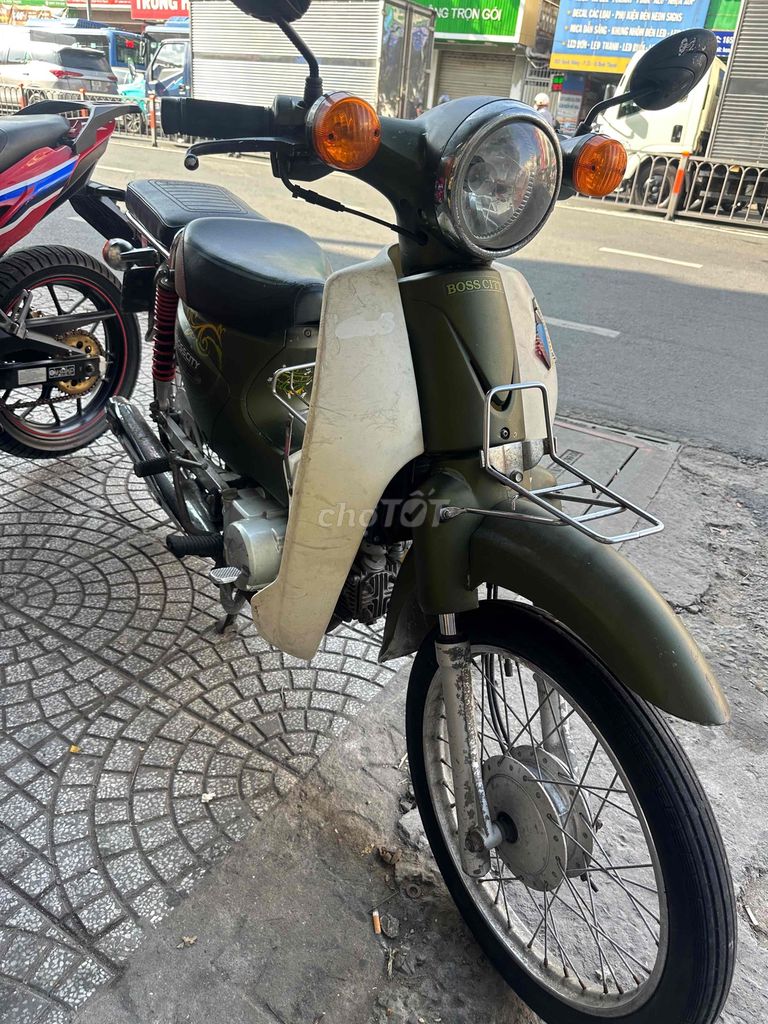 Cub 2019 - ảnh 2