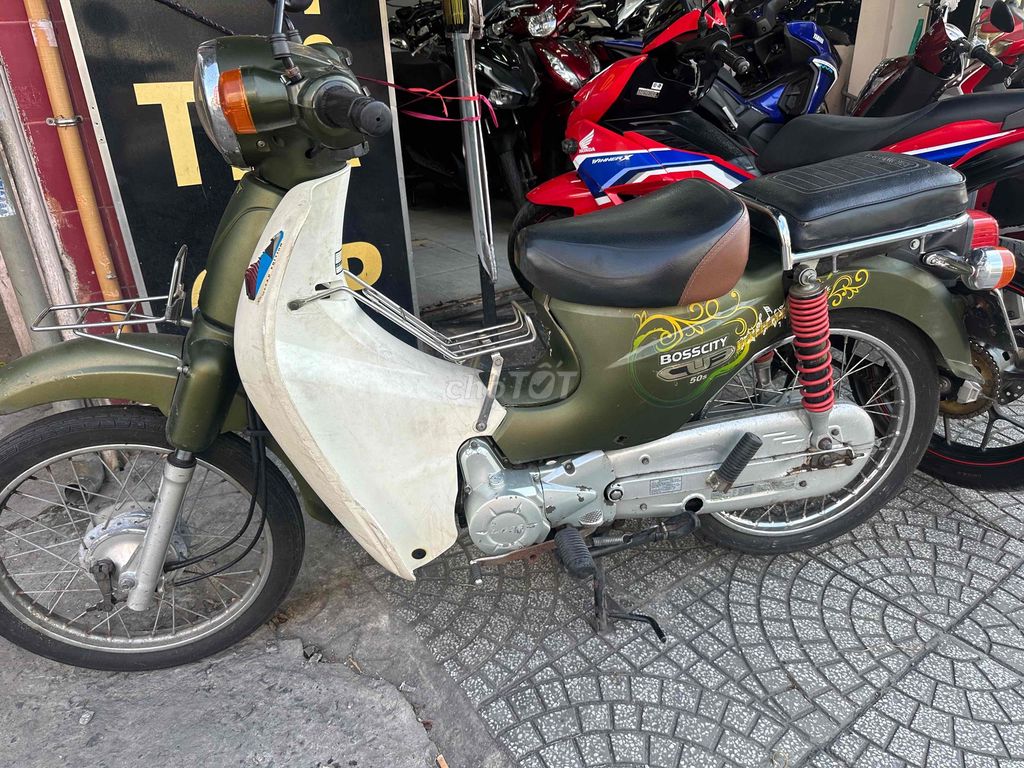 Cub 2019 - ảnh 3