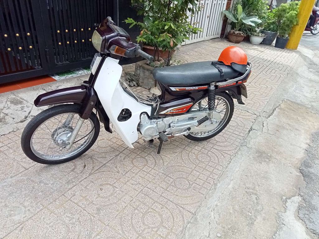 Dream m 2009 - ảnh 4