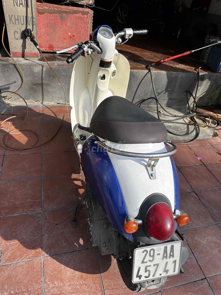 Honda Scoopy 2019 - ảnh 2