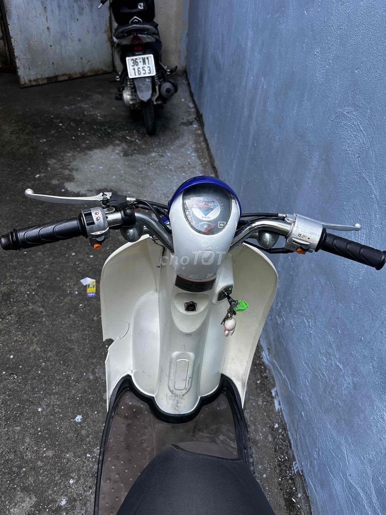 Honda Scoopy 2019 - ảnh 4
