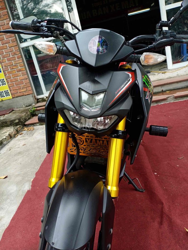Yamaha TFX 2019 - ảnh 3