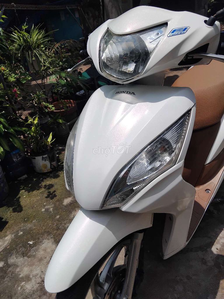vision 2014 - ảnh 3