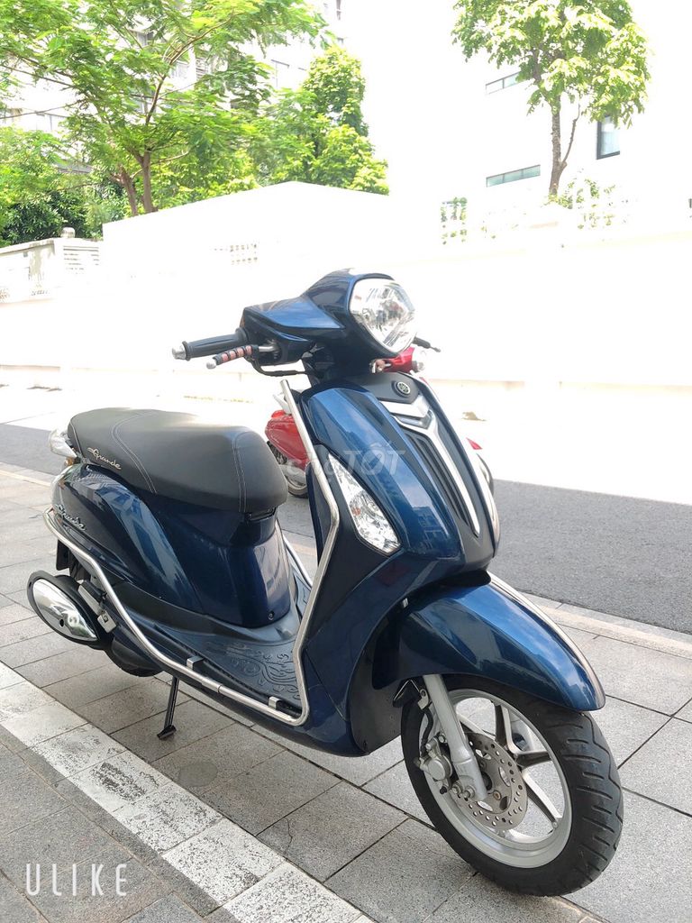 Grande n 2019 - ảnh 1