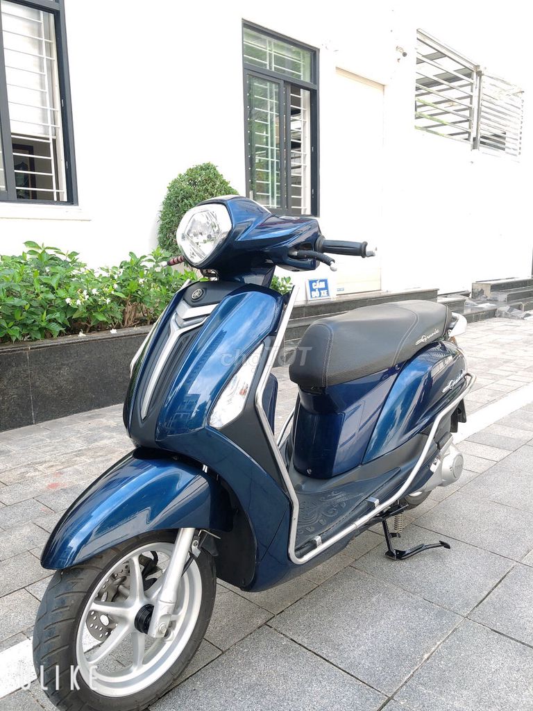 Grande n 2019 - ảnh 4