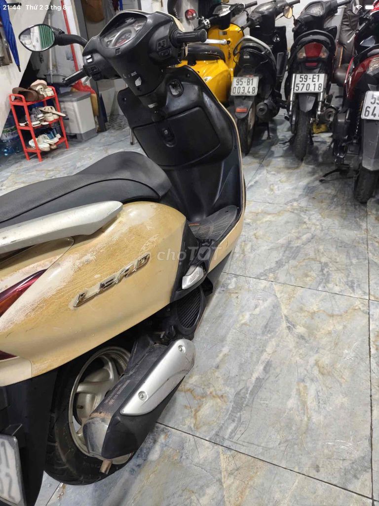 Honda Lead 2009 - ảnh 3