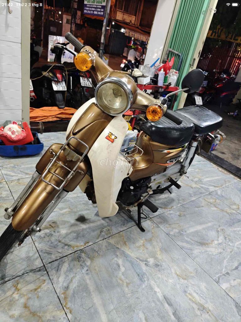 Cub 2014 - ảnh 1