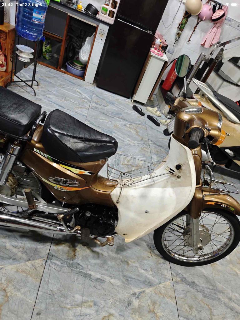 Cub 2014 - ảnh 2