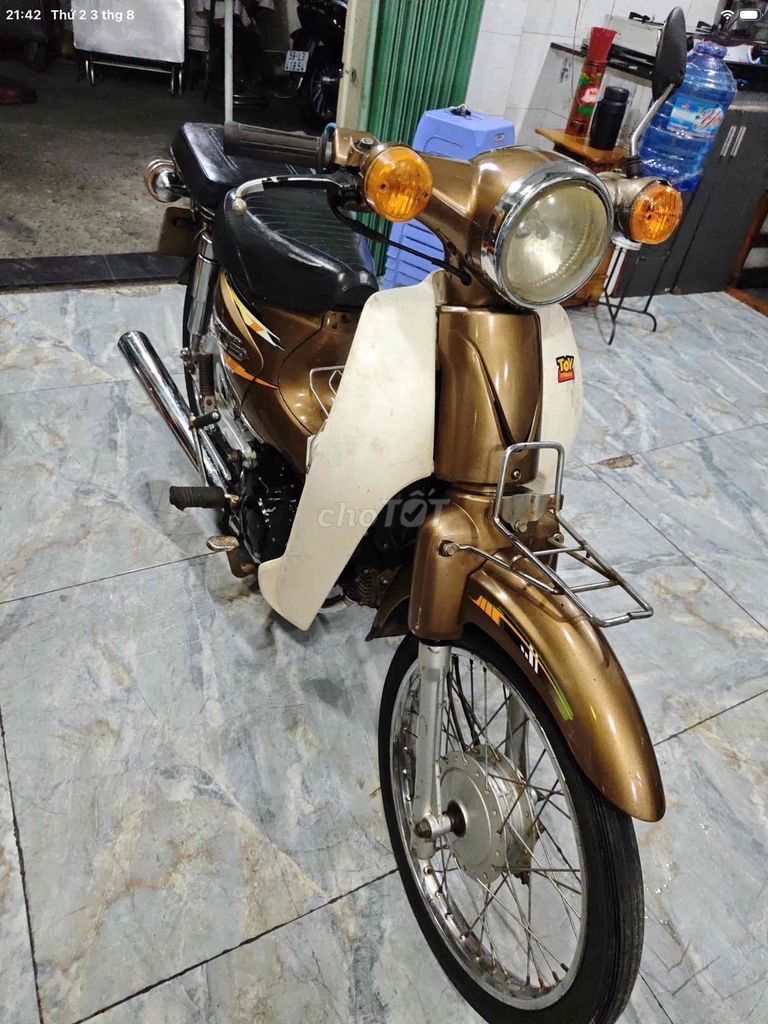 Cub 2014 - ảnh 3