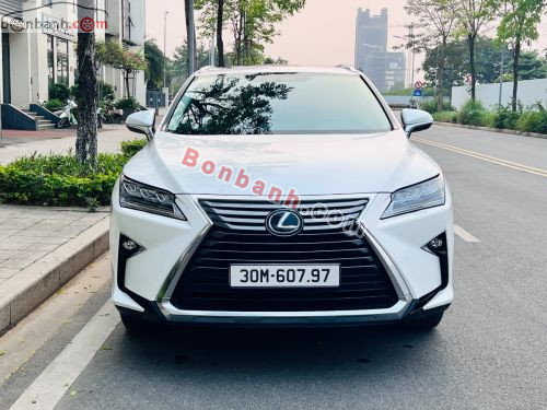Lexus RX 300 2019 - ảnh 1
