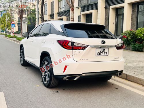 Lexus RX 300 2019 - ảnh 4