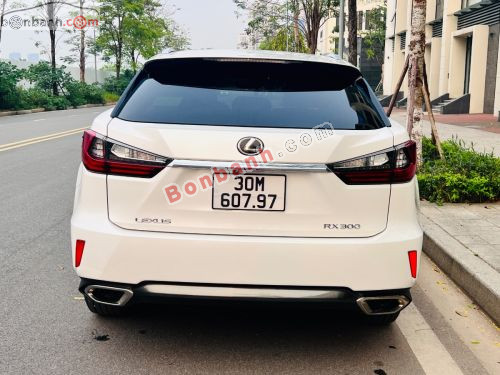 Lexus RX 300 2019 - ảnh 5