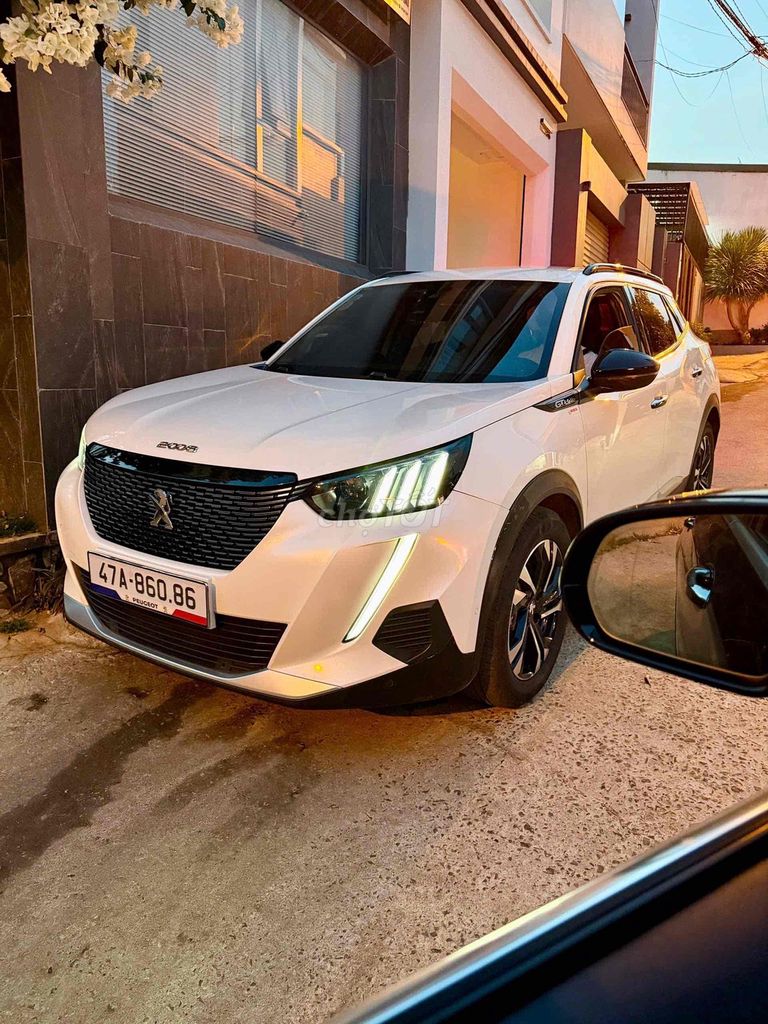 Peugeot 2008 2008 - ảnh 1